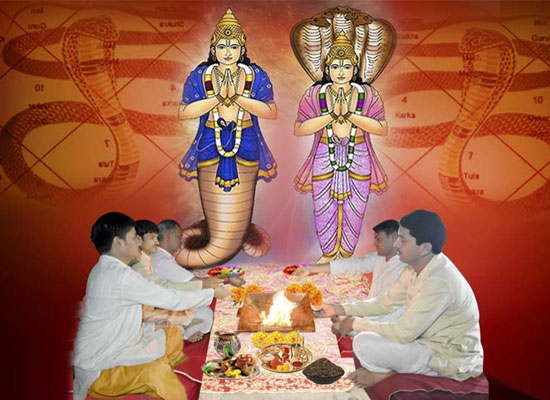 Kaal Sarp Dosh Puja to Online Puja Services by Astrologer Rahul Bhargav Ji