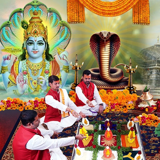 Narayan Bali Puja to Online Puja Services by Astrologer Rahul Bhargav Ji