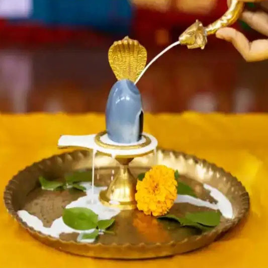 Rudrabhishekam Puja Online Puja Services by Astrologer Rahul Bhargav Ji