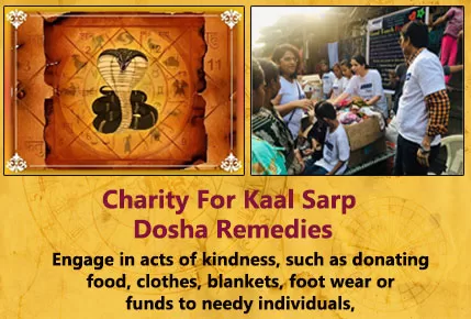 Charity for Kaal Sarp Dosha Remedies Break Free from Kaal Sarp Dosha and Manglik Dosha with Astrologer Rahul Bhargav