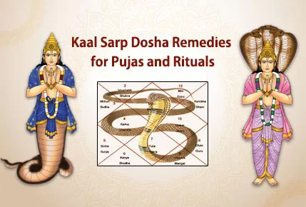 Kaal Sarp Dosha Remedies for Pujas and Rituals to Break Free from Kaal Sarp Dosha and Manglik Dosha with Astrologer Rahul Bhargav